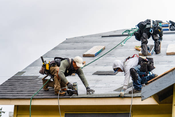Professional Roofing technician working in Searsboro, IA